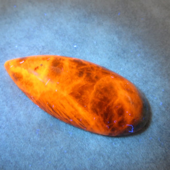 sodalit UV