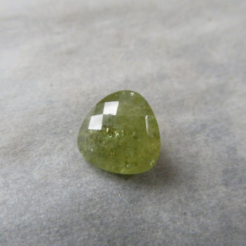 They had a grossular, a faceted triangle; 9mm F31