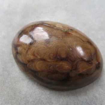 Stromatolit USA kabošon č.2
