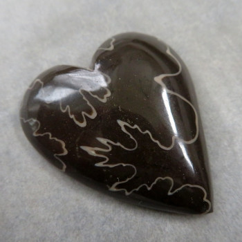 Ammonite, little heart, No. 6