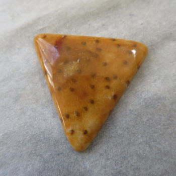 Petrified palm tree, cabochon no.2