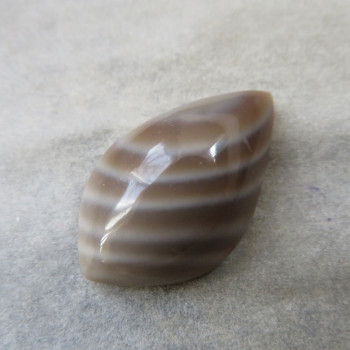 Silicite (Rohovec) Poland, cabochon. No. 3