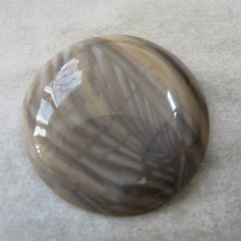 Silicite (Rohovec) Poland, cabochon. No. 5
