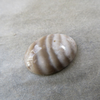 Silicite (Rohovec) Poland, cabochon. No. 6