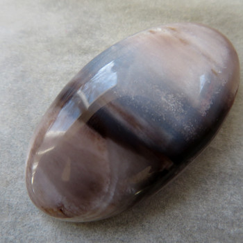 Petrified wood, Horná Ves, Slovakia, cabochon no. 1