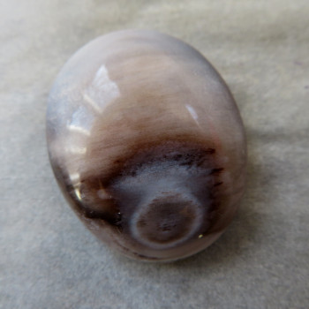 Petrified wood, Horná Ves, Slovakia, cabochon no. 2
