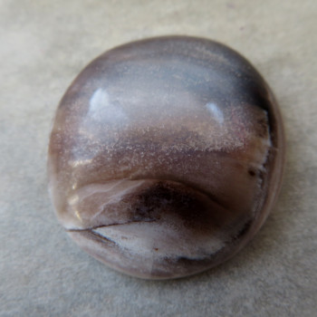 Petrified wood, Horná Ves, Slovakia, cabochon no. 3
