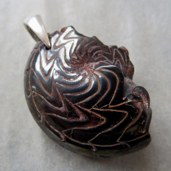 Goniatite/Hematite Ammonite, pendant no. 1