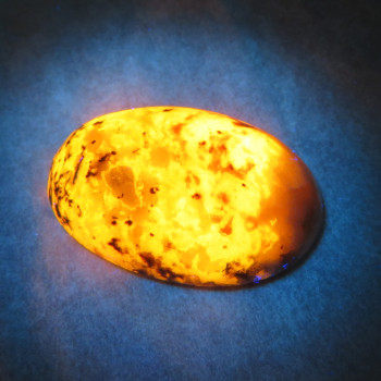 UV sodalite with hackmanite, Greenland cabochon no.02
