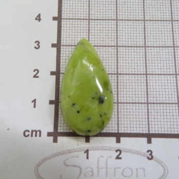 lizardit