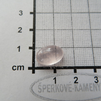 růženín
