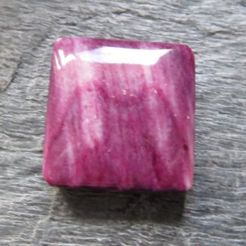 Spondylus, kabošon č.12