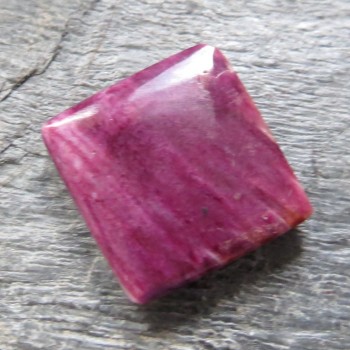 Spondylus, kabošon č.13