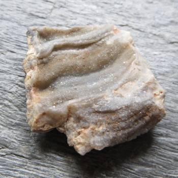 Chalcedony Rose No. 27