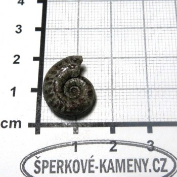 Amonit Francie, pyritový P14| šperkové-kameny.cz