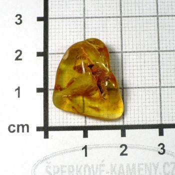 Jantar -přírodní č. B16| šperkové-kameny.cz