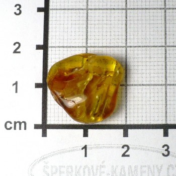 Jantar -přírodní č. B23| šperkové-kameny.cz