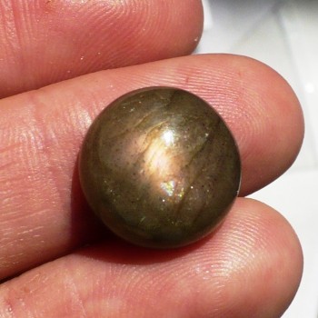 Labradorit  kabošon 14 mm, Madagaskar,   č.9| www.sperkove-kameny.cz