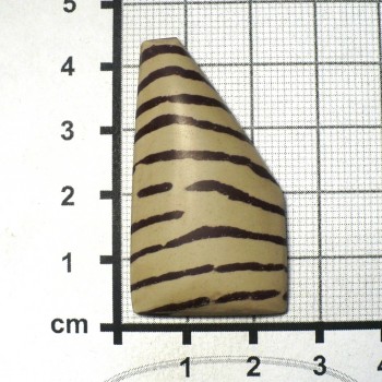 Zebra stone, Austrálie, kabošon č.5 | šperkové-kameny.cz