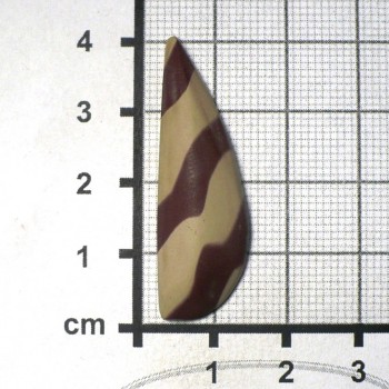Zebra stone, Austrálie, kabošon č.7 | šperkové-kameny.cz