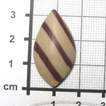 Zebra stone, Austrálie, kabošon č.13 | šperkové-kameny.cz