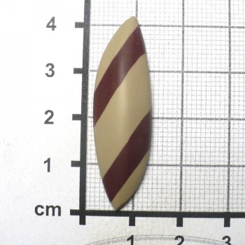 Zebra stone, Austrálie, kabošon č.15 | šperkové-kameny.cz