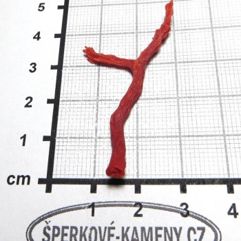 pravý červený korál větvička 2 / www.sperkove-kameny.cz