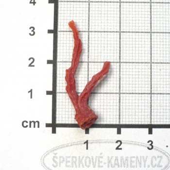 pravý červený korál, větvička č. 9| www.sperkove-kameny.cz