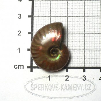Amonit, extra perleťový, č.4| šperkové-kameny.cz