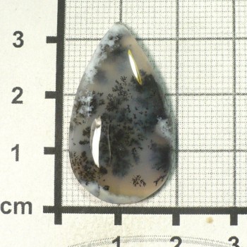 Dendritický opál, De luxe, kabošon č.53 | www.sperkove-kameny.cz