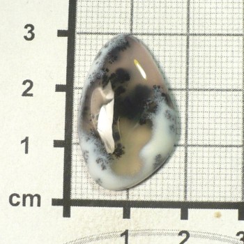 Dendritický opál, De luxe, kabošon č.54 | www.sperkove-kameny.cz
