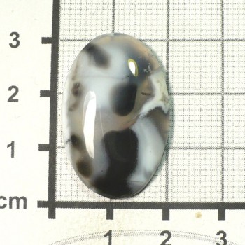 Dendritický opál, De luxe, kabošon č.57 | www.sperkove-kameny.cz