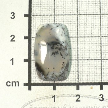 Dendritický opál, De luxe, kabošon č.58 | www.sperkove-kameny.cz