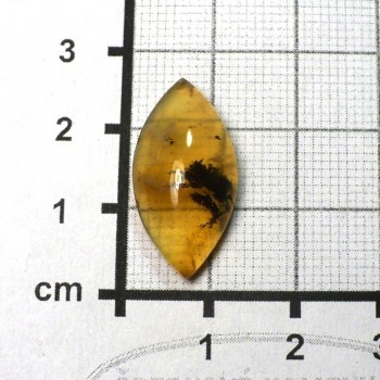 Jantarový opál, Madagaskar, kabošon č. 11 | www.sperkove-kameny.cz