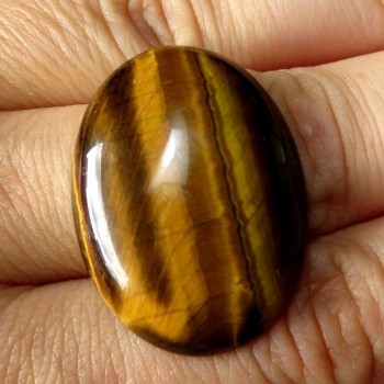 Tygří oko,  kabošon30x22 mm č.01| šperkové-kameny.cz